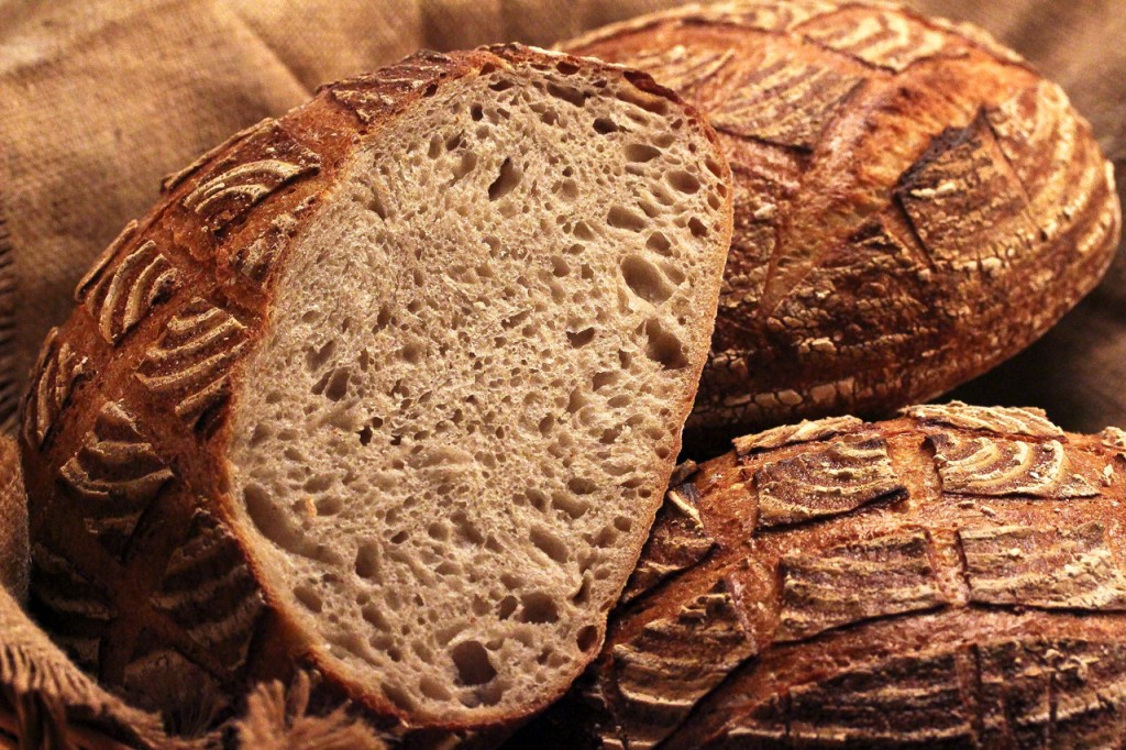 San Francisco Sourdough Bread – HOMEBAKING BLOG