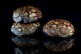 Black Fire Burger